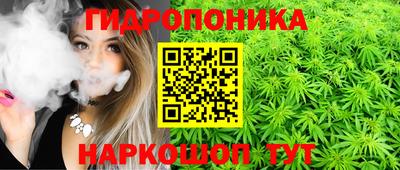 ГАЛЛЮЦИНОГЕННЫЕ ГРИБЫ Заволжье