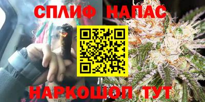 ГАЛЛЮЦИНОГЕННЫЕ ГРИБЫ Заволжье