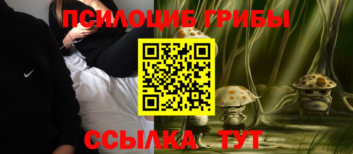 Псилоцибиновые грибы Psilocybine cubensis  Вход с VPN  Галлюциногенные грибы прущие грибы  Кондопога 