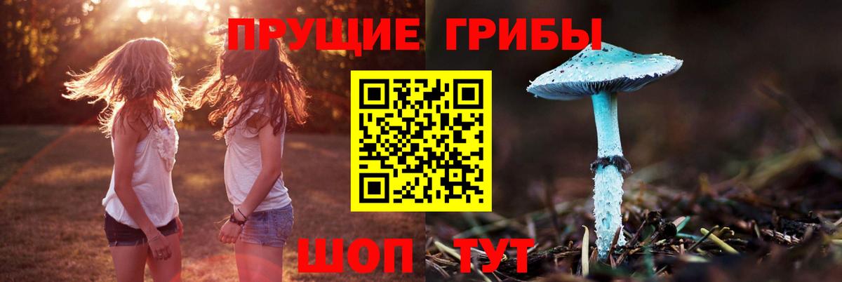 Галлюциногенные грибы прущие грибы Кондопога